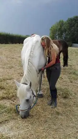 Photo de Centre Equestre du Lonval