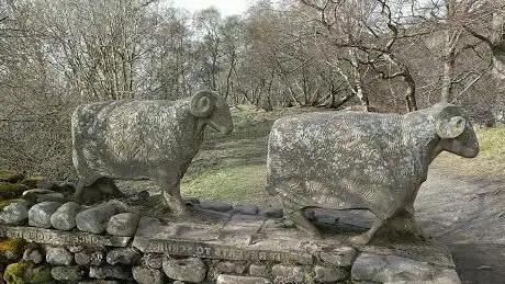 Photo de Stone Sheep