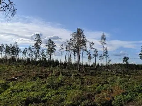 Photo de Hammarsjöleden