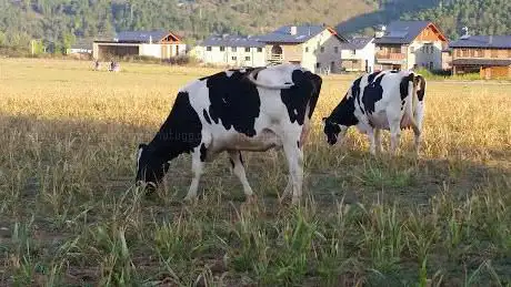Photo de L'Èpic