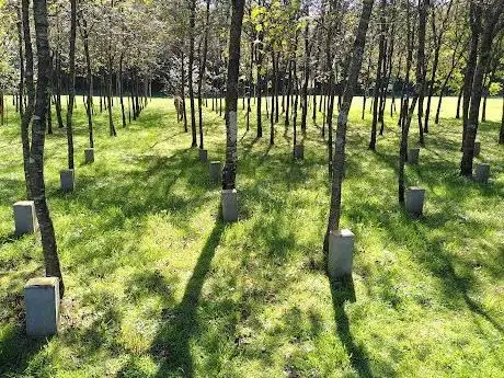 Photo of Bois de la Paix