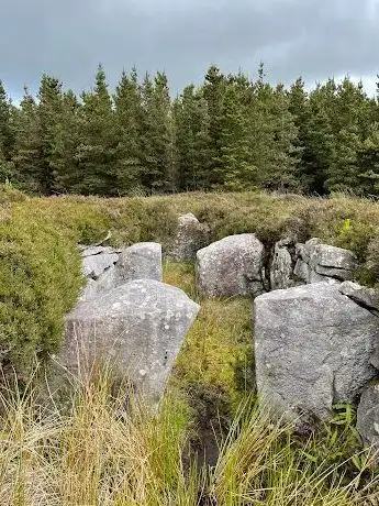 Photo de Rathlacken Court Tomb