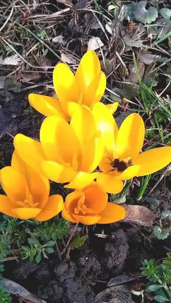 Photo de Parc Eugène Imbs