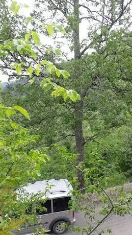 Photo de Tekkoz-Kengerlidüz Tabiatı Koruma Alanı