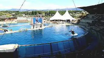 Photo de Marineland