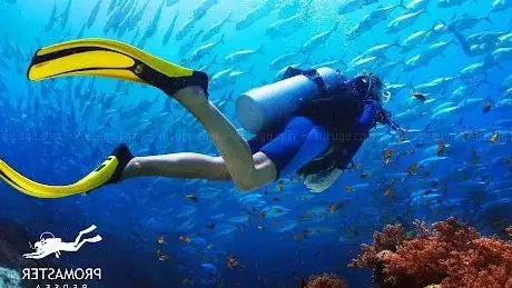 Photo de Pro Master Diving Center - Hurghada
