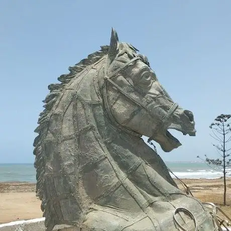 Photo de Cheval El Jadida