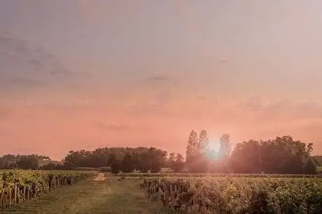 Photo of Château Tour Saint Pierre