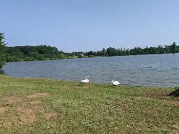 Photo de Etangs des Ayeux Aappma La Douce Savoureuse Belfort Bavilliers