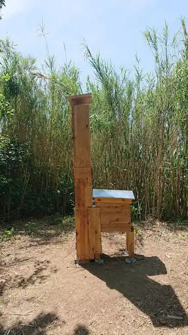 Photo de Jardin public