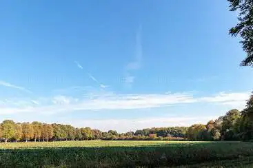 Photo de Kaiserbusch Stadtwald