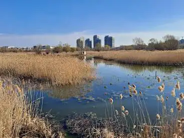Photo of Vacaresti Park Nature Reserve