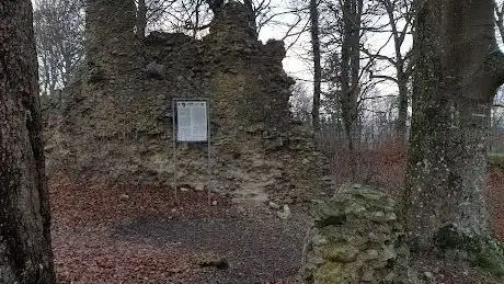 Photo de Ruine Schrotzburg