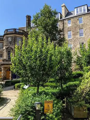 Photo de Archivist's Garden