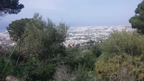 Photo de Bosque de Benalmádena