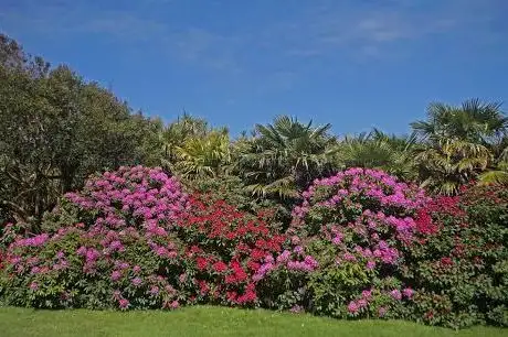 Photo of Jardin botanique du château de Vauville