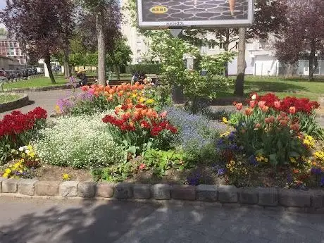 Photo of Pigeons land!