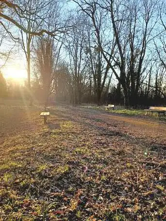 Photo de Forêt communale de gandrange
