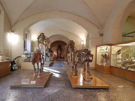 Photo de Musée d'histoire naturelle de l'Université de Florence