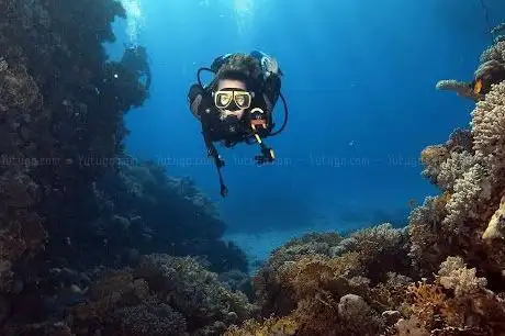 Photo de Diving Hurghada Seagate | Scuba Diving in Hurghada - PADI Dive Courses