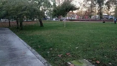 Photo de Parque Municipal de Loures