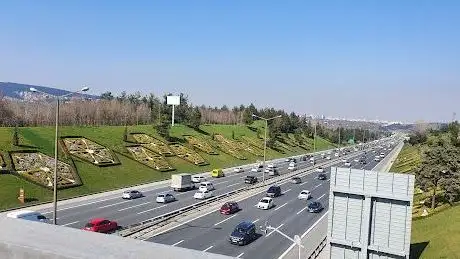 Photo de Beykoz Belediyesi Başkanlığı Kanlıca Fidanlığı