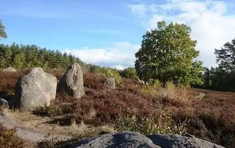 Photo de Office of the Lüneburg Heath Nature Park