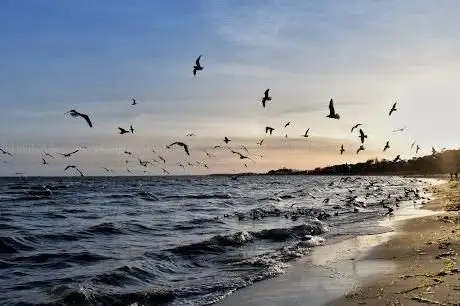 Photo de Lubminer Strand