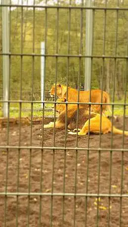 Photo de Eifel Zoo