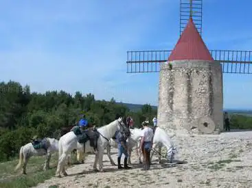 Photo de Promenades À Cheval Les Enganes