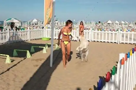 Photo de Bau Bau Beach Jesolo
