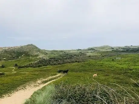 Buckroney Dunes