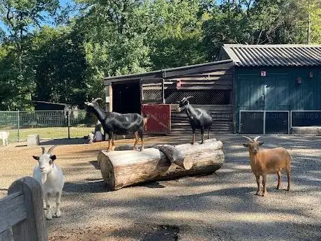 Photo de Stichting Kinderboerderij Schutterspark