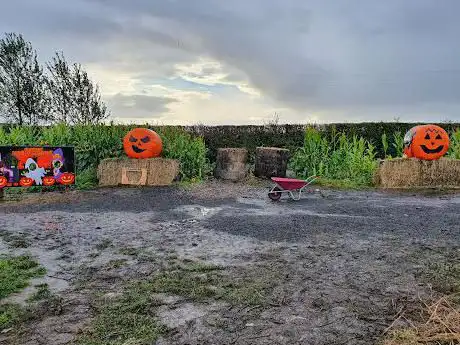 Photo de Birchall's pumpkin patch