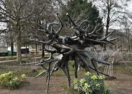 Photo de Arbre des Voyelles