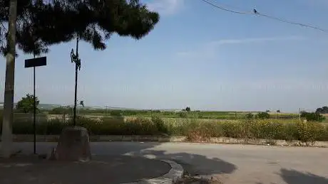 Photo de Ipogei Monterisi-Rossignoli