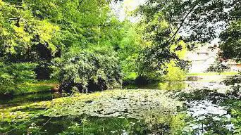 Photo de Schürer Weiher