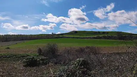 Photo de ZEPA Estepas CerealÃ­stas Del RÃ­o Jarama Y Henares