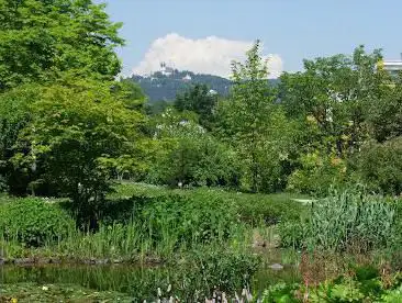 Photo de Linz Botanical Garden