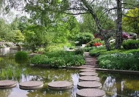Photo de Plantes et Fleurs
