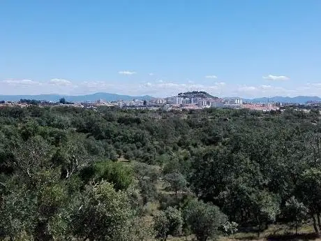 Photo de Capela de São Martinho
