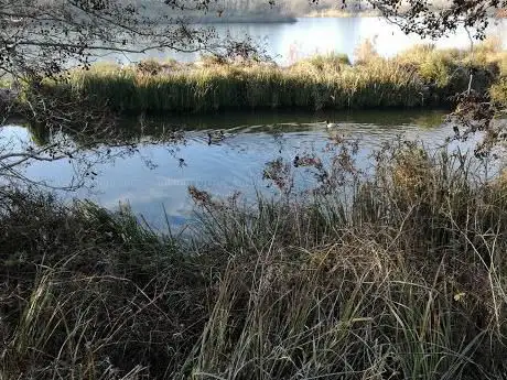 Photo de Lockwood Reservoir