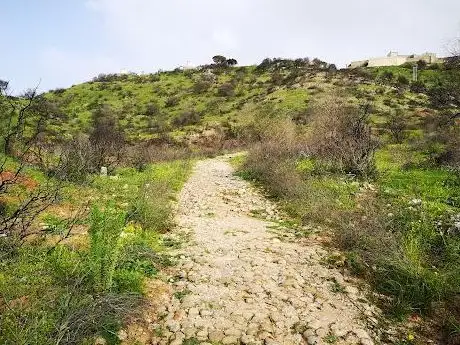 Photo de Estrada Romana em Palmela