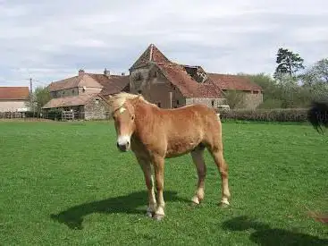 Photo de Elevage de Corbeton