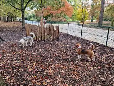 Photo de Parc à chien du Jardin public