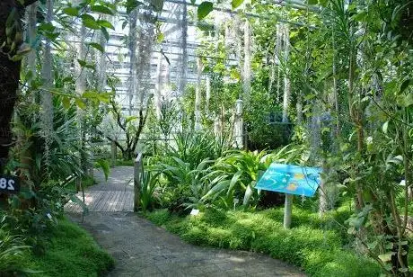 Photo de Jardin du Conservatoire Botanique National de Brest