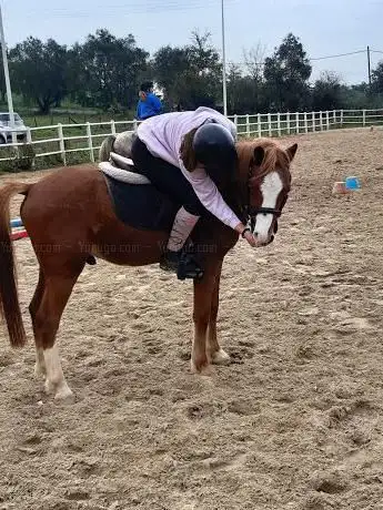 Photo de Circolo Ippico Le Pré Vert