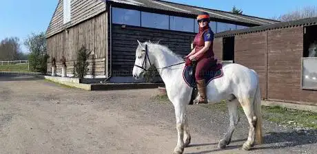 Photo de Battle Barn Farm Equestrian