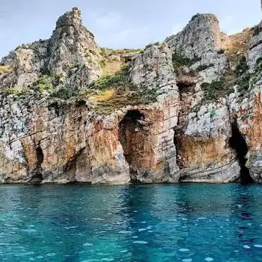 Photo de Cetaria Diving Center Scopello