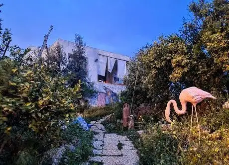 Photo de Root Tasarim